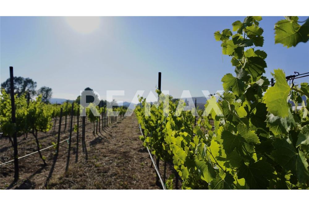 Commercial - Land - Ensenada, Mexico - Mexico - 38 - 1001006001-770