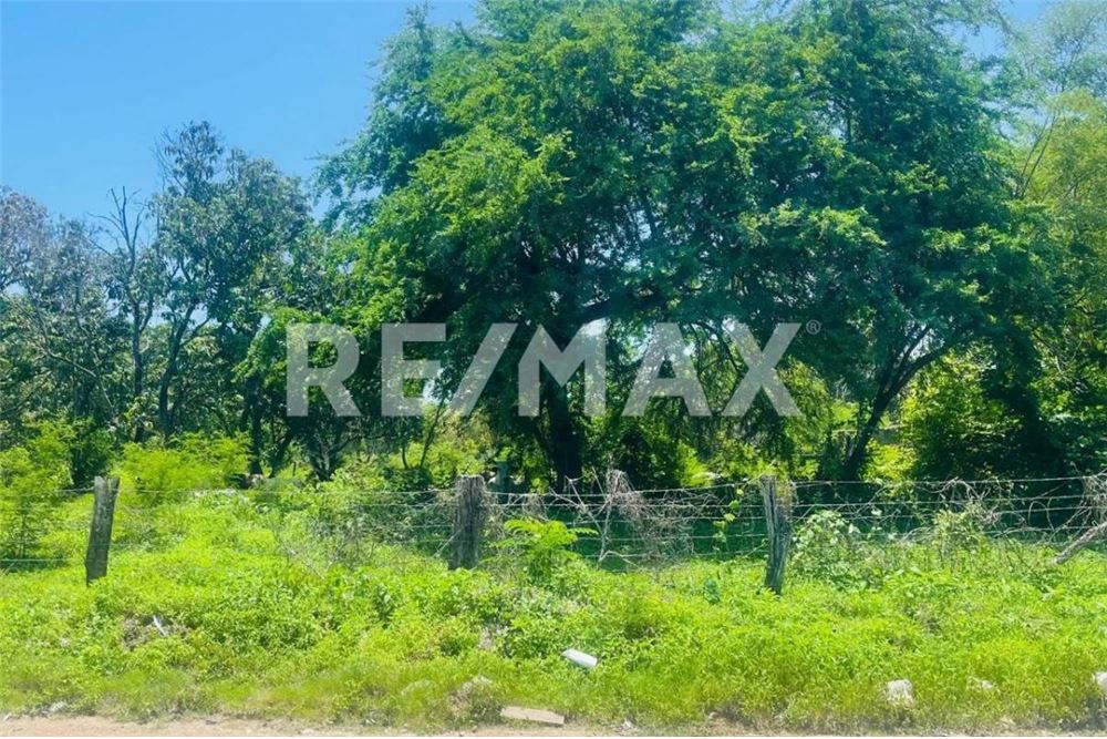 Residential - Plot of Land for Investment - Bahía De Banderas, Mexico - Mexico - 5 - 1001121049-4