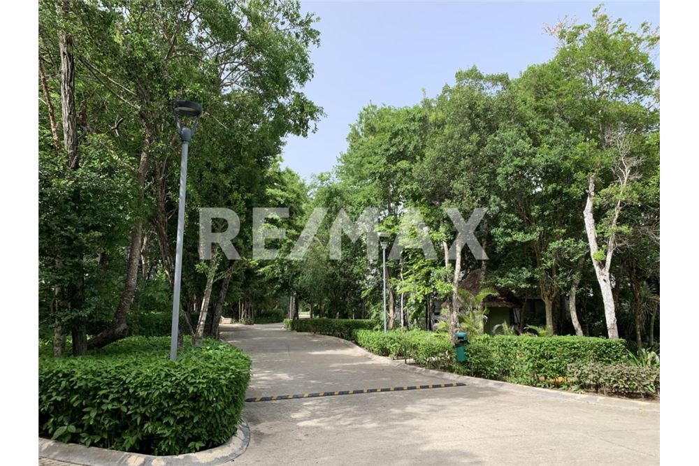 Residential - Apartment with roof - Tulum, Mexico - Mexico - 12 - 1001040022-185