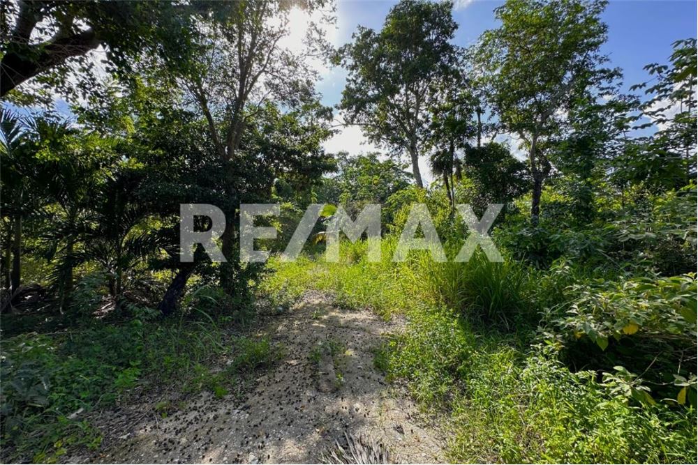 商业 - 土地 - Cancún, 墨西哥 - Mexico - 4 - 1001068002-64