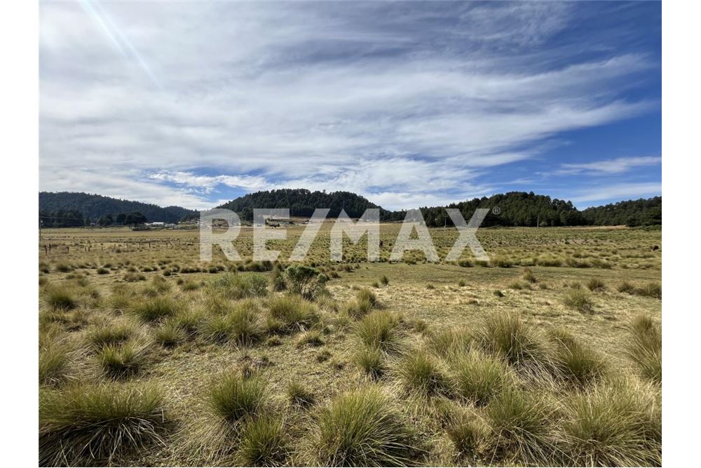 Residential - ਅਲਾਟਮੈਂਟ ਲਈ ਜ਼ਮੀਨ ਦਾ ਟੁਕਡ਼ਾ - Amanalco, Mexico - Mexico - 3 - 1001004100-44