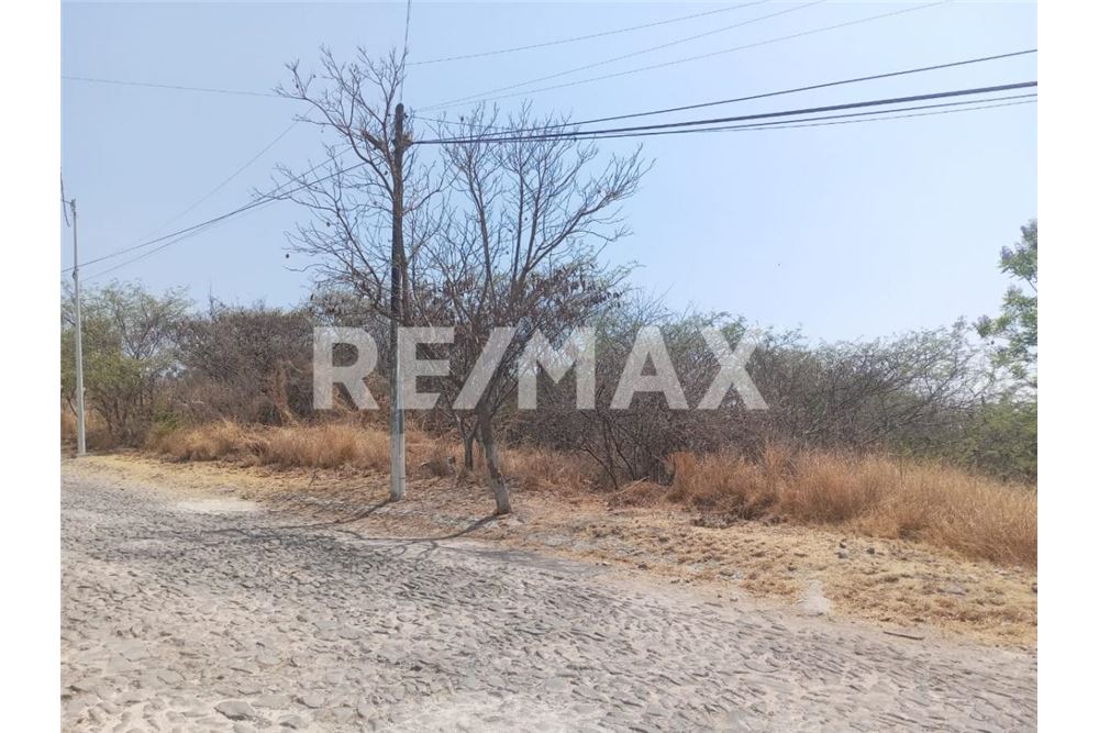 Residential - Plot of Land for Investment - Querétaro, Mexico - Mexico - 10 - 1001065263-7