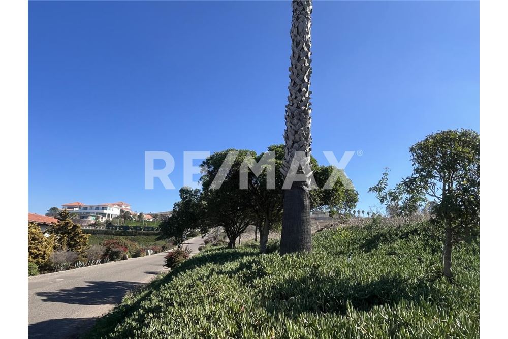 Residential - Plot of Land for Investment - Tijuana, Mexico - Mexico - 24 - 1001006253-34