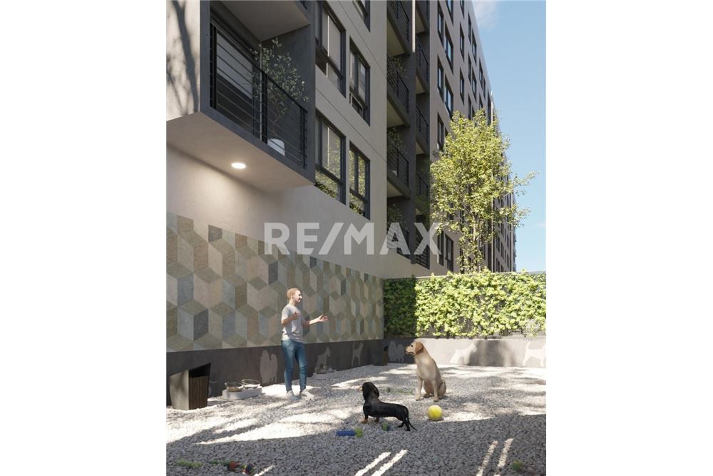 Wohnung - Dachwohnung - Ciudad de México, Mexiko - Mexico - 18 - 1001180001-359