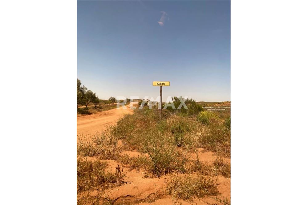 Residential - Plot of Land for Investment - Tecate, Mexico - Mexico - 12 - 1001104053-23