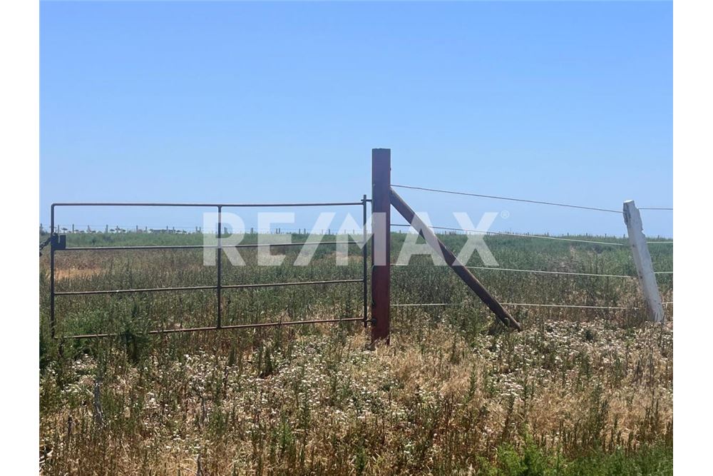 Commercieel - Grond - Playas De Rosarito, Mexiko - Mexico - 12 - 1001006182-85