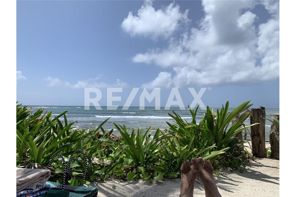 Residential - Apartment with roof - Tulum, Mexico - Mexico - 28 - 1001040022-176
