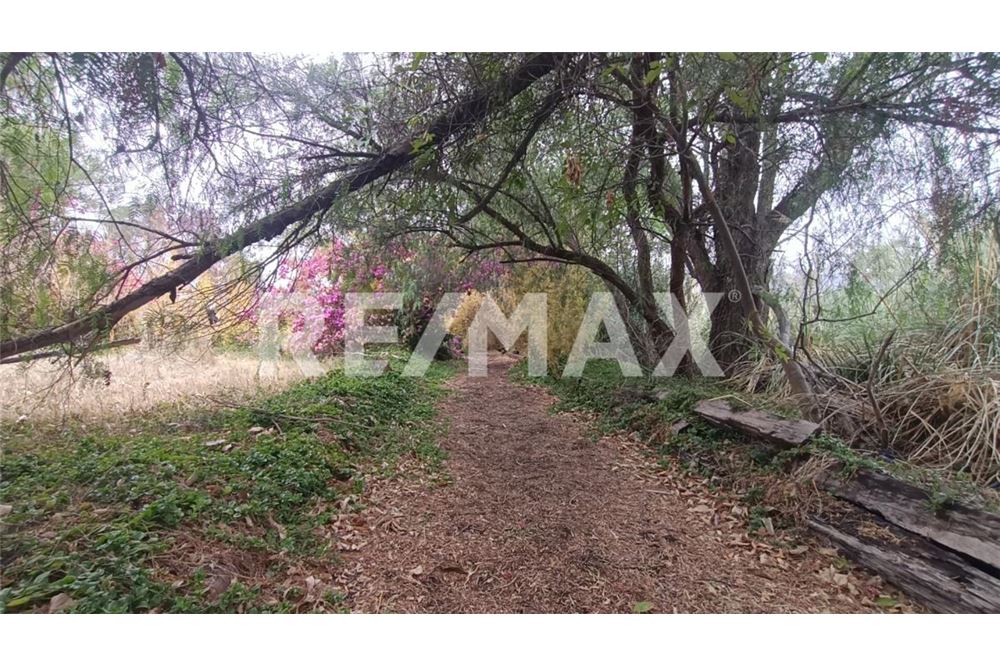 住宅 - 投资用地 - Huimilpan, 墨西哥 - Mexico - 13 - 1001065050-353