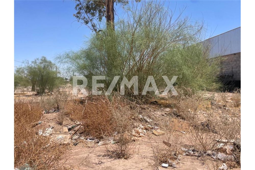 Dzīvojamais - Zemesgabals iemērīšanai - Mexicali, Meksika - Mexico - 3 - 1001262028-4