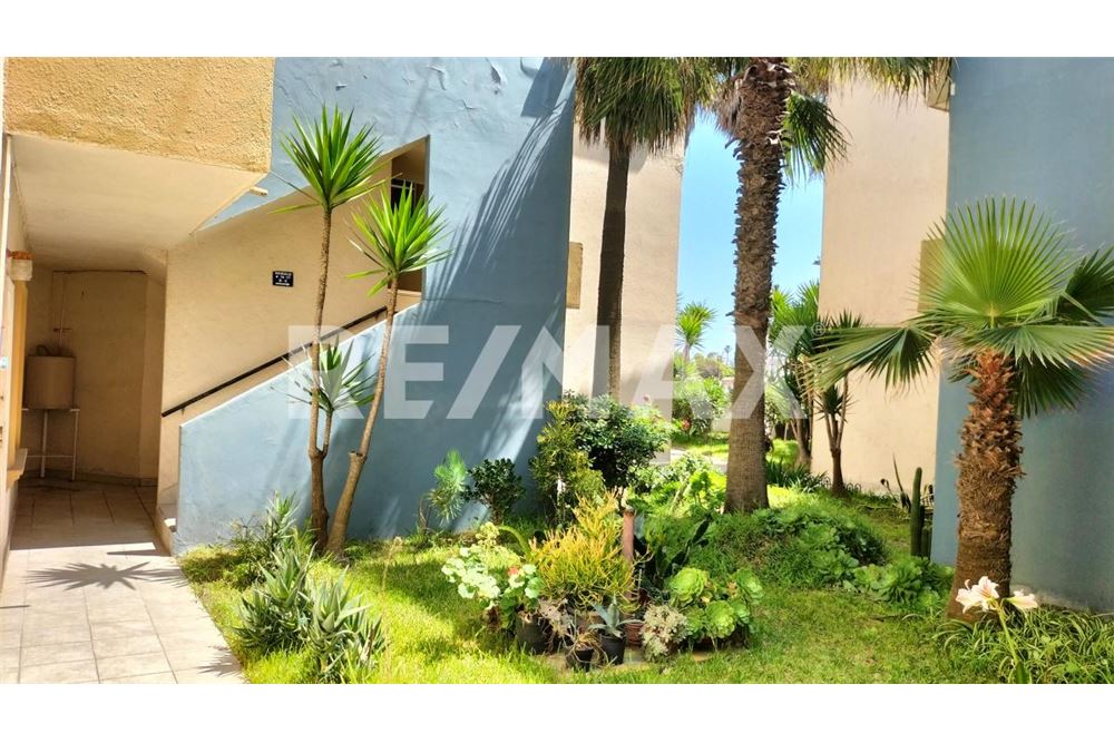 Residential - Apartment with roof - Playas De Rosarito, Mexico - Mexico - 6 - 1001006061-99