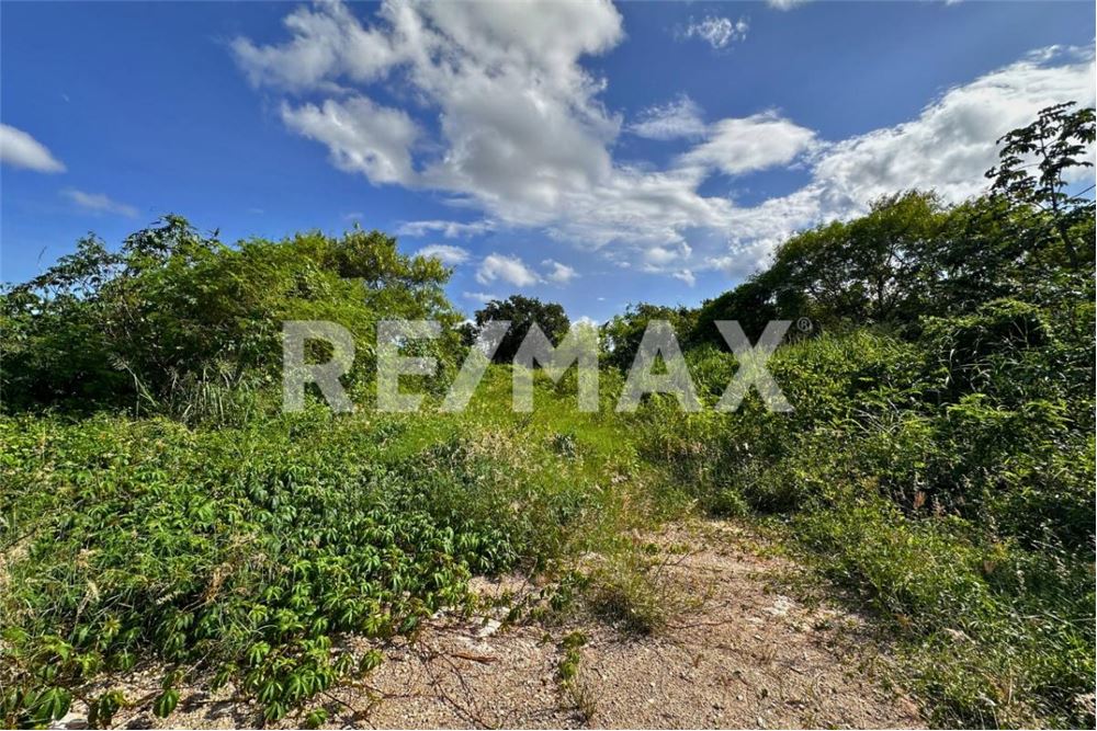 商业 - 土地 - Cancún, 墨西哥 - Mexico - 6 - 1001068002-64