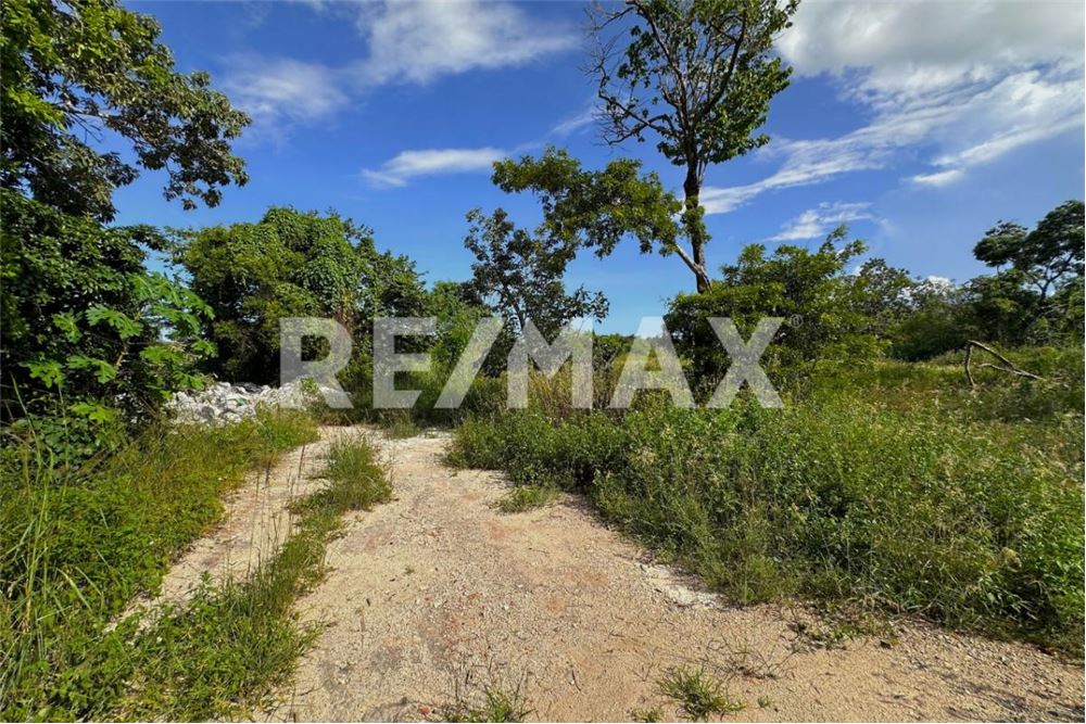 商业 - 土地 - Cancún, 墨西哥 - Mexico - 7 - 1001068002-64