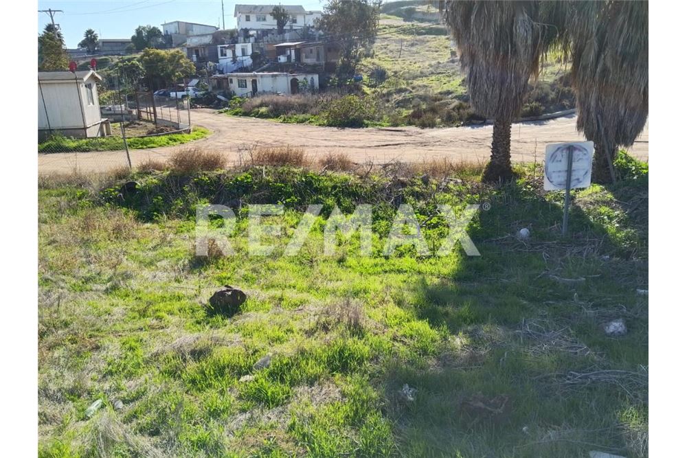 Prédio Habitacional - Plot of Land for Allotment - Playas De Rosarito, México - Mexico - 15 - 1001006182-103