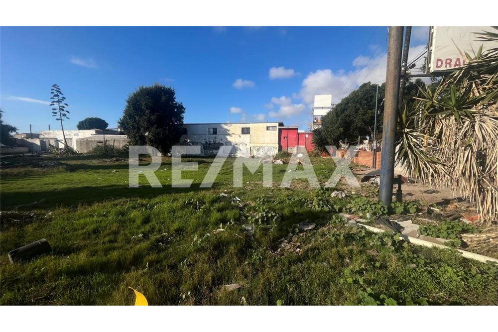 Comercial - Terrenos - Playas De Rosarito, México - Mexico - 5 - 1001006182-101