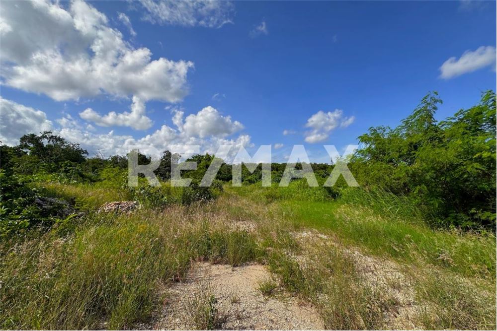 商业 - 土地 - Cancún, 墨西哥 - Mexico - 8 - 1001068002-64