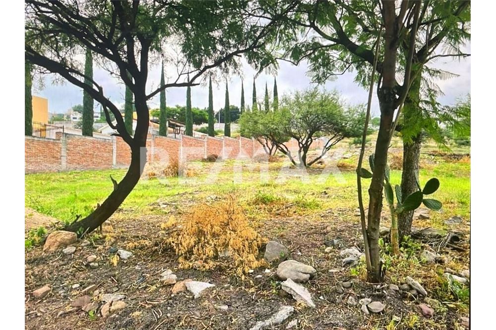 Residenziale - Parte di Terreno per Appezzamento - El Pueblito, Messico - Mexico - 10 - 1001108002-754