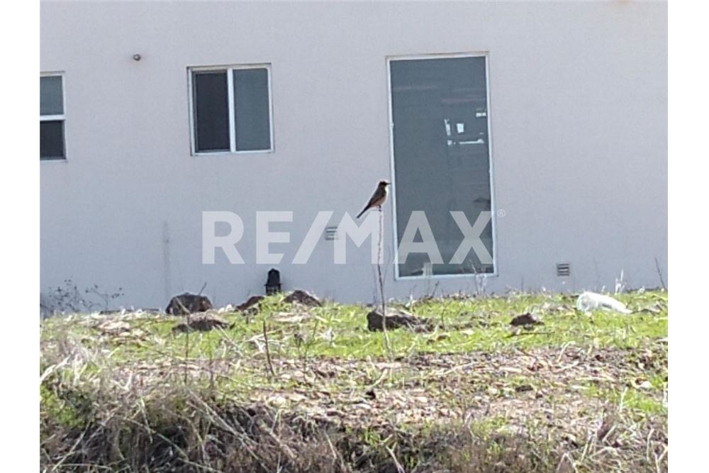 Residencial - Parcela de tierra para inversión - Playas De Rosarito, México - Mexico - 43 - 1001006243-33