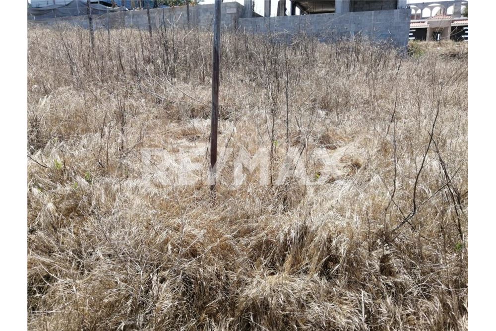 Residential - Plot of Land for Investment - Playas De Rosarito, Mexico - Mexico - 6 - 1001006250-25