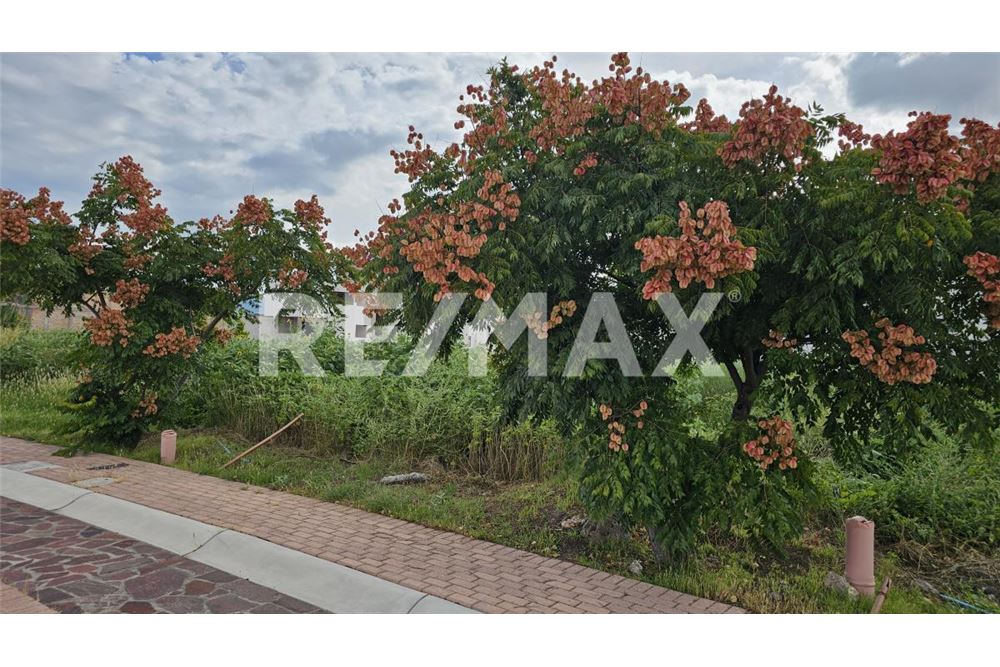 Residential - Plot of Land for Investment - El Marques, Mexico - Mexico - 7 - 1001065017-77