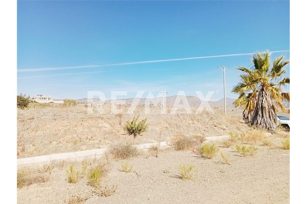 Residential - Plot of Land for Investment - Playas De Rosarito, Mexico - Mexico - 18 - 1001006194-63