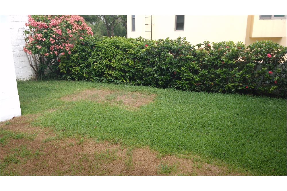 Residencial Casa Tampico, México Mexico 1001026004678 , RE/MAX