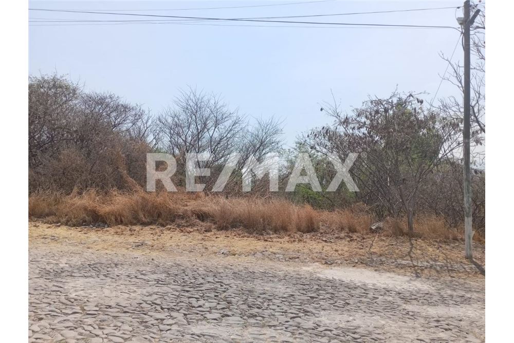 Residential - Plot of Land for Investment - Querétaro, Mexico - Mexico - 9 - 1001065263-7