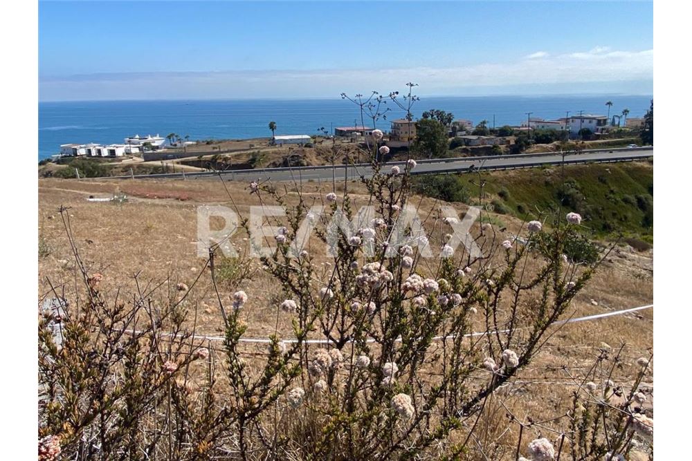 Bostad - Del av land för tilldelning av tomt - Playas De Rosarito, Mexiko - Mexico - 15 - 1001006253-29