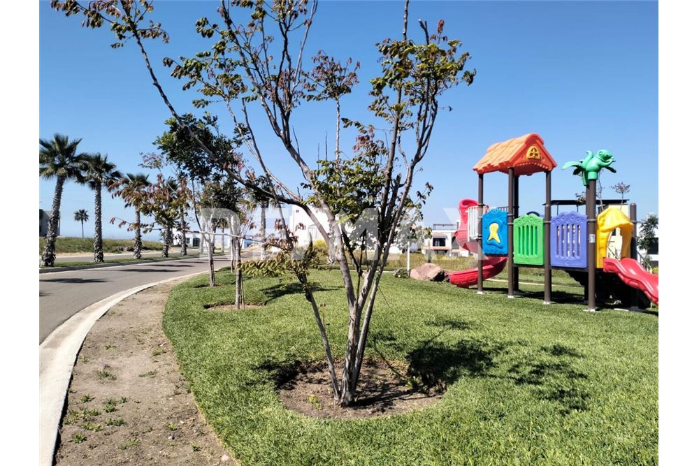 Residencial - Parcela de tierra para inversión - Playas De Rosarito, México - Mexico - 22 - 1001006243-33