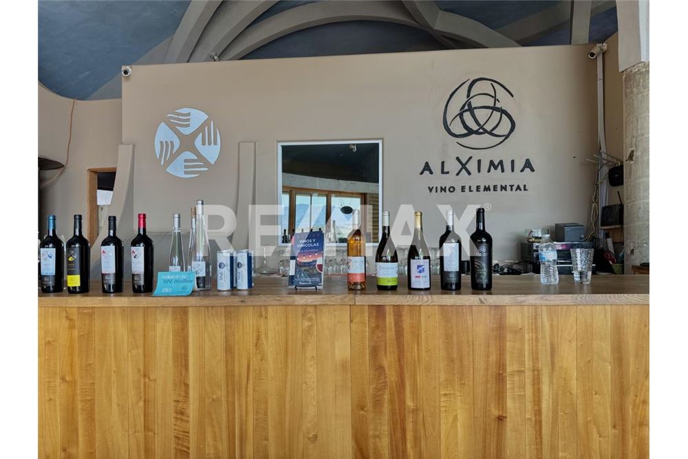 Commercial - Land - Ensenada, Mexico - Mexico - 22 - 1001006001-770