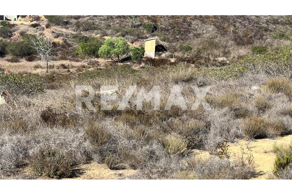 Residenziale - Parte di Terreno per Appezzamento - Ensenada, Messico - Mexico - 7 - 1001006182-102