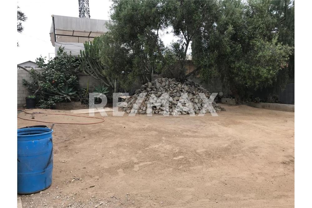 Commercial - Farm - Playas De Rosarito, Mexico - Mexico - 11 - 1001006062-39