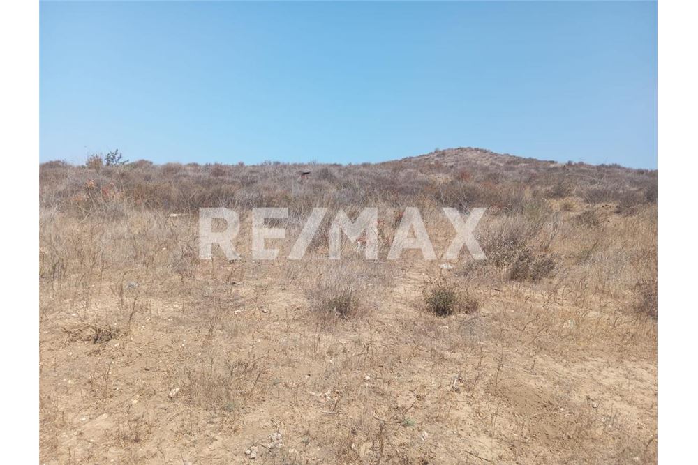 Residential - आवंटन हेतु भूमि का प्लॉट - Playas De Rosarito, मेक्सिको - Mexico - 1 - 1001006250-26