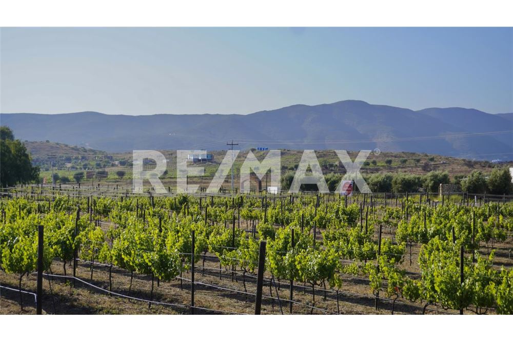 Commercial - Land - Ensenada, Mexico - Mexico - 7 - 1001006001-770