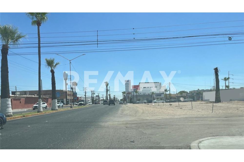 Επαγγελματικό - Κτήμα - San Luis Río Colorado, Μεξικό - Mexico - 1 - 1001133107-51