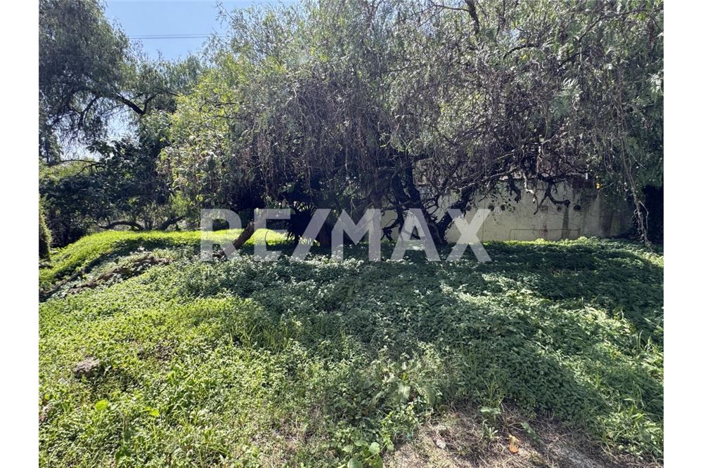 Wohnung - Grundstück für Freizeit - Huixquilucan, Mexiko - Mexico - 4 - 1001105001-1060