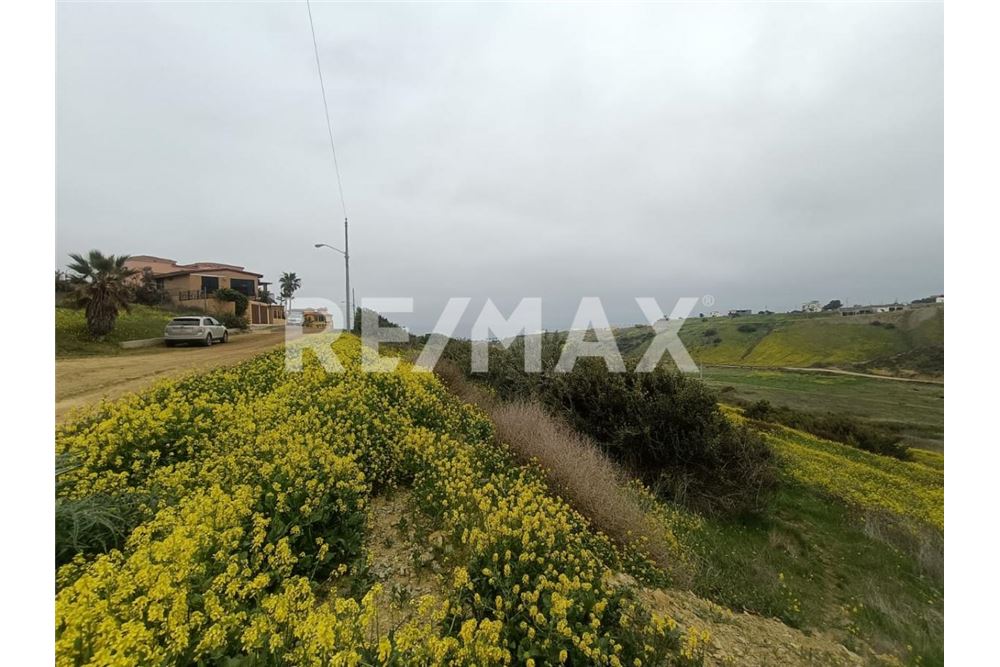 Residential - Plot of Land for Investment - Playas De Rosarito, Mexico - Mexico - 3 - 1001006243-59