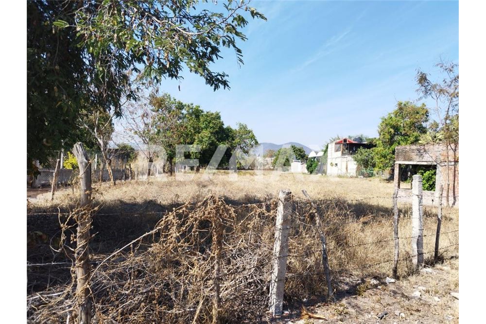 Woningbouw - Bouwkavel - Miacatlan, Mexico - Mexico - 9 - 1001233025-116