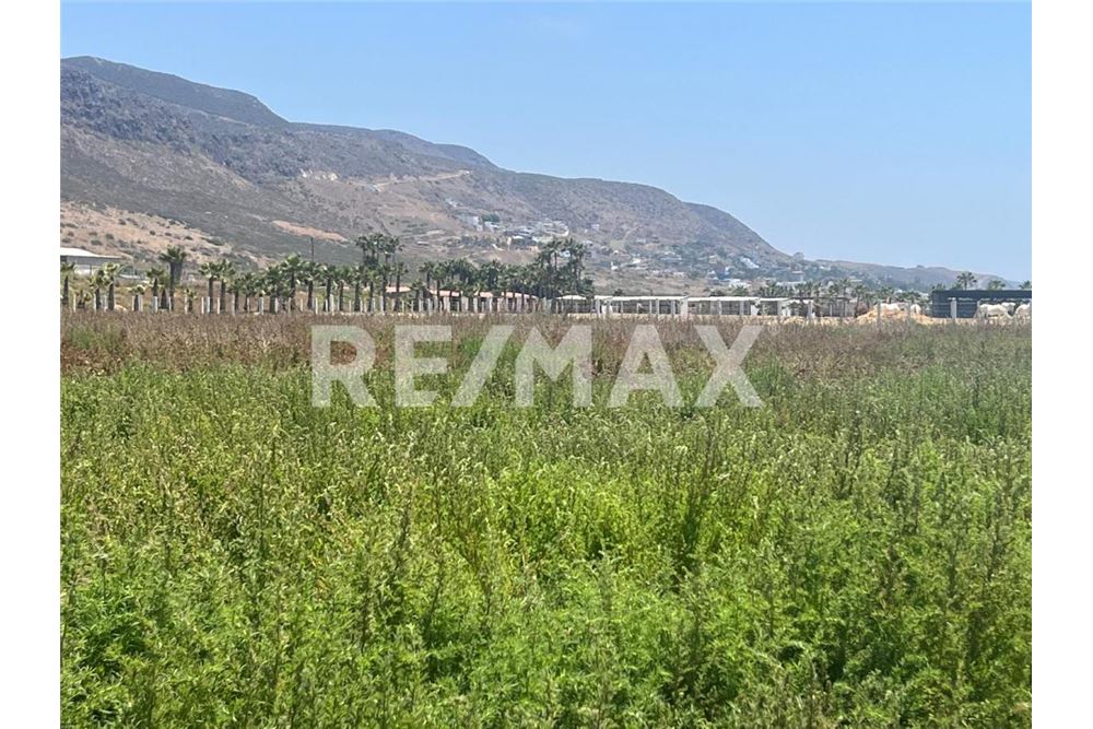 Commercieel - Grond - Playas De Rosarito, Mexiko - Mexico - 26 - 1001006182-85