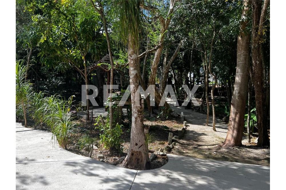 Residential - Plot of Land for Investment - José María Morelos, Mexico - Mexico - 9 - 1001040001-1392
