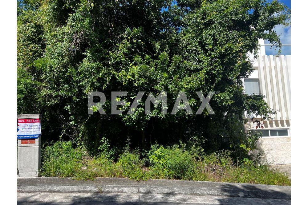 Residential - Plot of Land for Investment - José María Morelos, Mexico - Mexico - 4 - 1001040001-1392