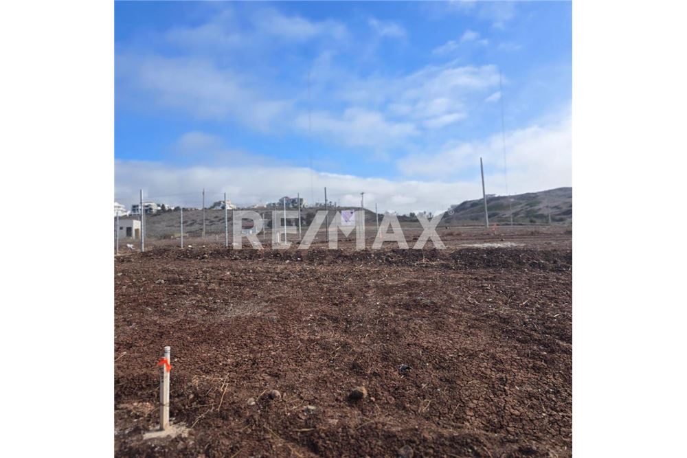 Wohnung - Grundstück für Freizeit - Playas De Rosarito, Mexiko - Mexico - 4 - 1001006059-96