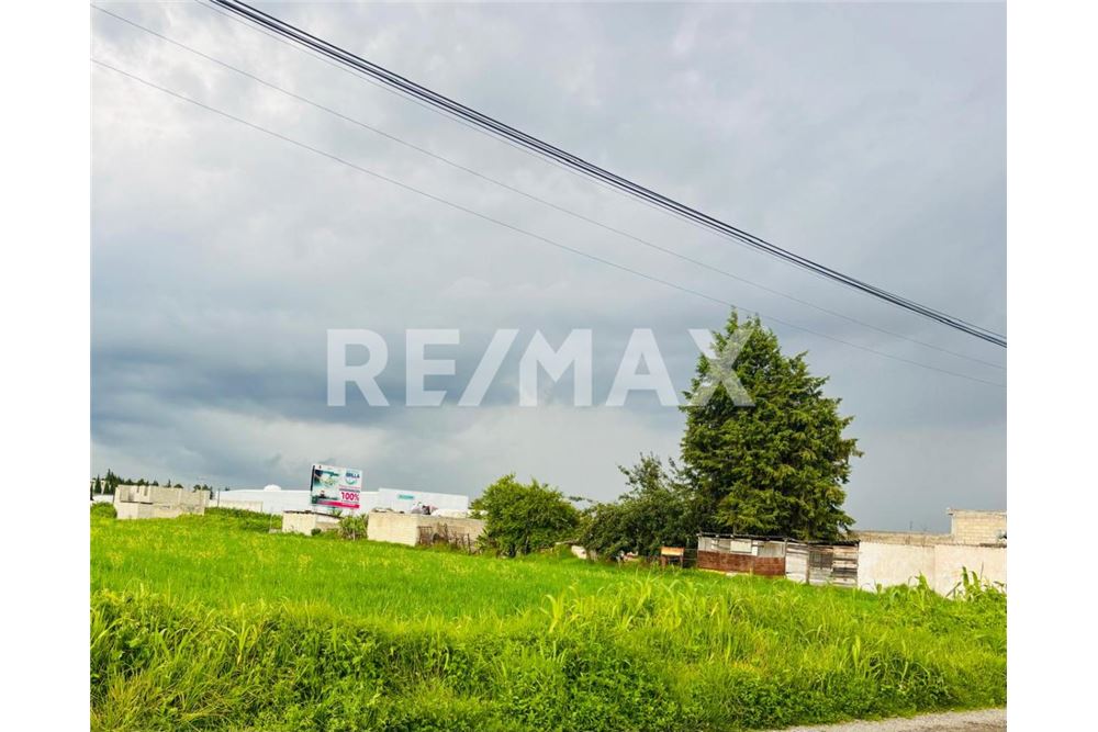 Residential - Plot of Land for Investment - Metepec, Mexico - Mexico - 2 - 1001021073-30