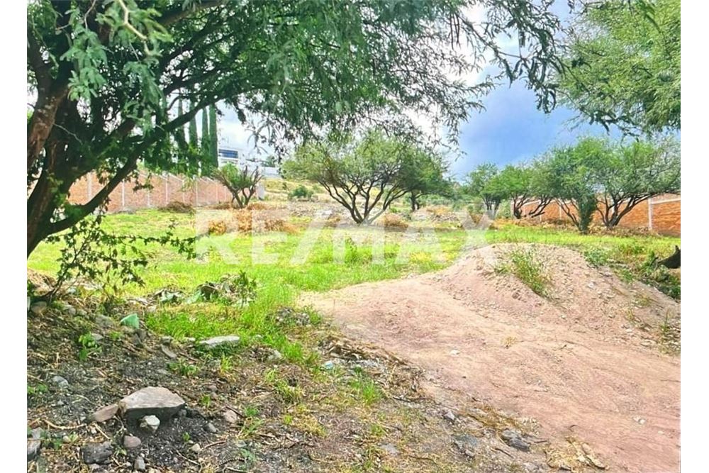 Residenziale - Parte di Terreno per Appezzamento - El Pueblito, Messico - Mexico - 12 - 1001108002-754