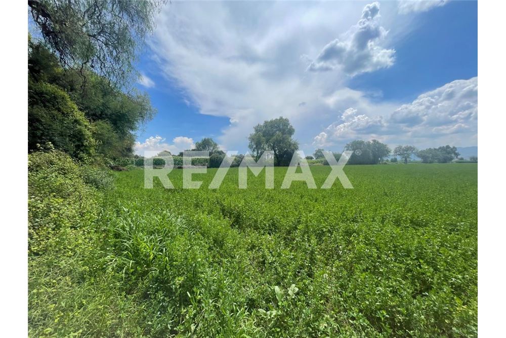 Commercio - Terreno - Mixquiahuala De Juárez, Messico - Mexico - 3 - 1001065095-177