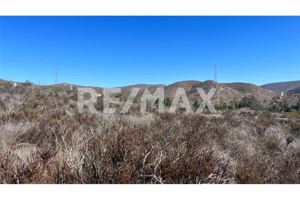 Residenziale - Parte di Terreno per Appezzamento - Ensenada, Messico - Mexico - 13 - 1001006182-102