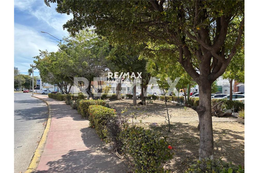 Residential - Asunto kattoterassilla - Mazatlán, Meksiko - Mexico - 18 - 1001009004-17