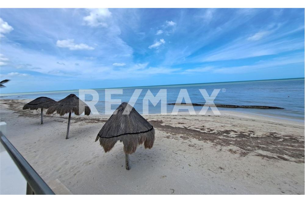 Residential - Apartment with roof - Progreso, Mexico - Mexico - 1 - 1001043030-762