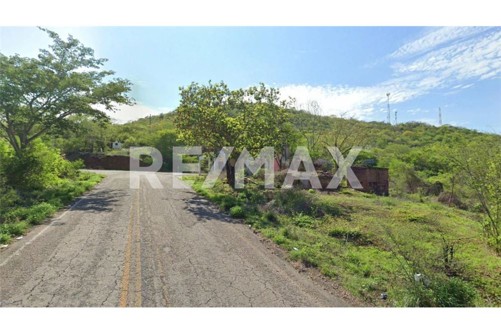 상업용 - 대지 - San Ignacio, 멕시코 - Mexico - 3 - 1001070223-11