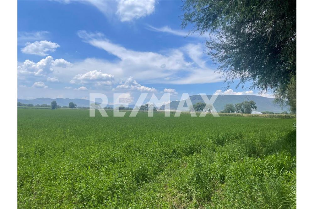 Commercio - Terreno - Mixquiahuala De Juárez, Messico - Mexico - 4 - 1001065095-177