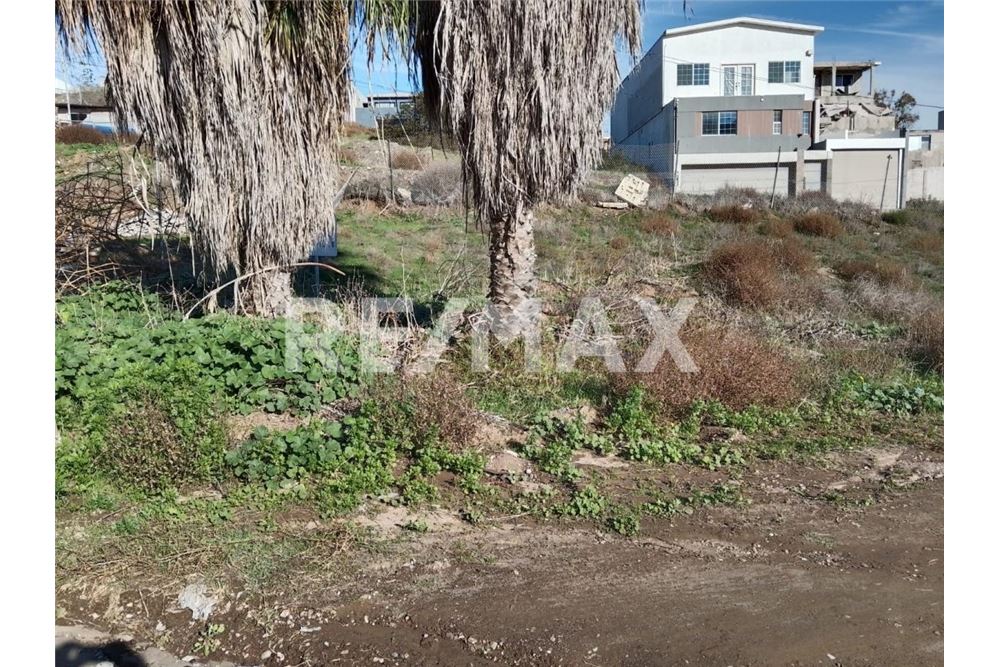 Prédio Habitacional - Plot of Land for Allotment - Playas De Rosarito, México - Mexico - 11 - 1001006182-103